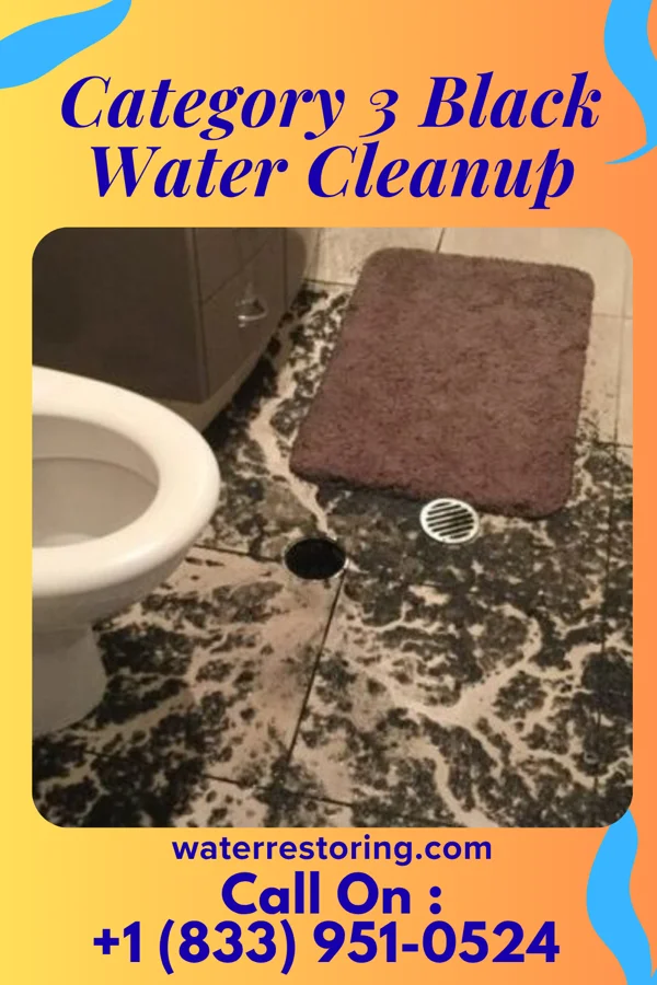 Category 3 Black Water Cleanup in Red Bank, NJ