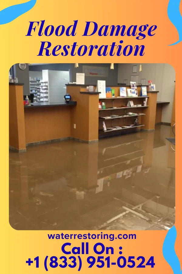 Flood Damage Restoration in Red Bank, NJ