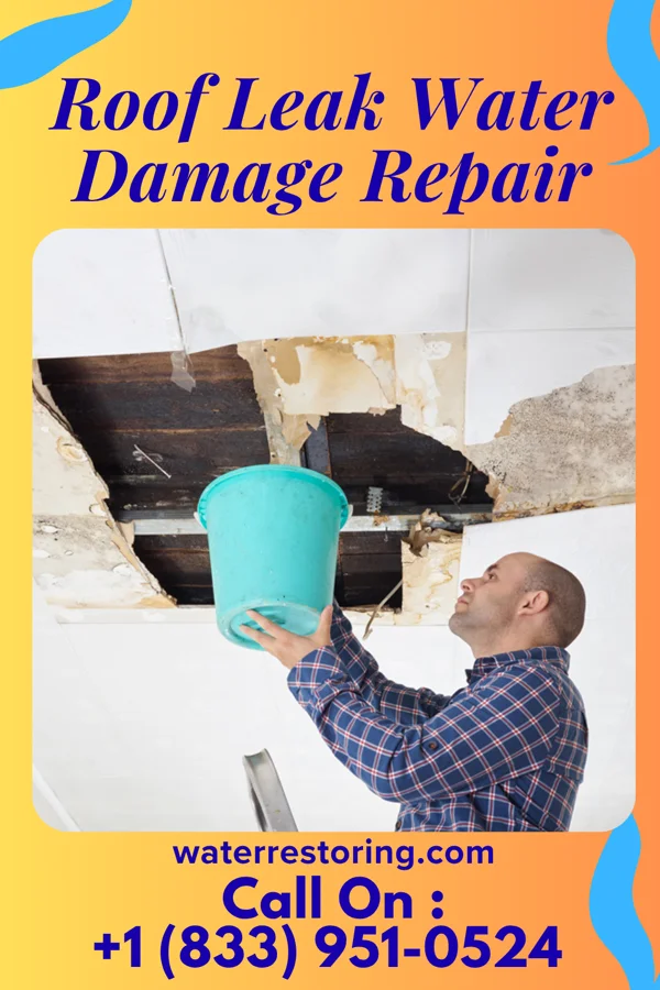 Roof Leak Water Damage Repair in Red Bank, NJ