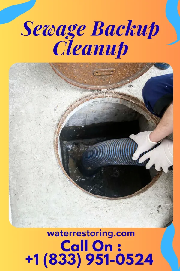 Sewage Backup Cleanup in Red Bank, NJ