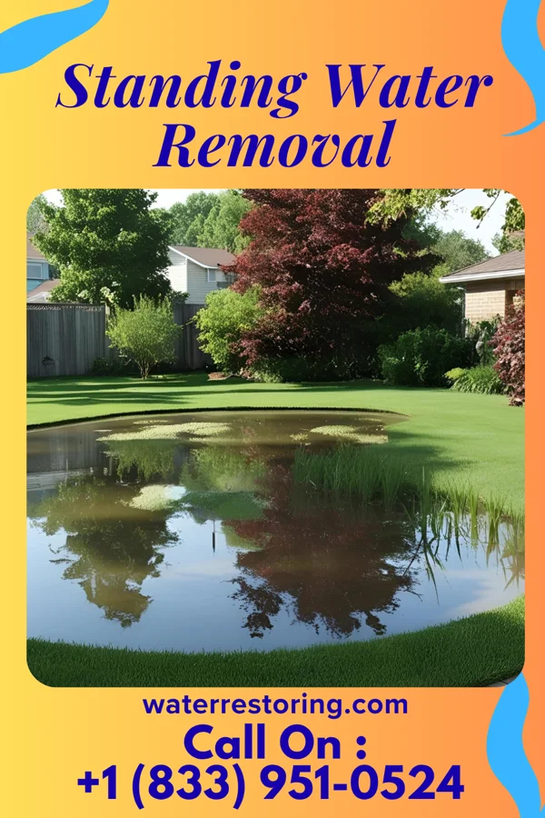 Standing Water Removal in Red Bank, NJ